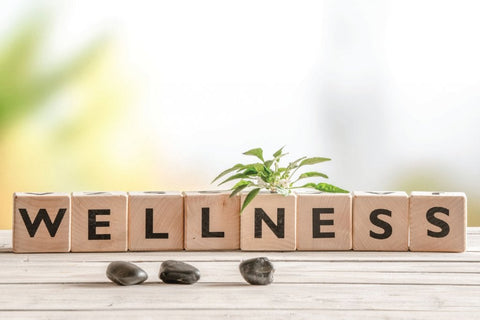 Wellness journey with biomagnetic therapy and natural health products by Health Magnetic Store