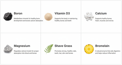Bone Health & More