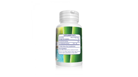 Saw Palmetto