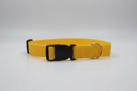 Collar magnético para perro amarillo