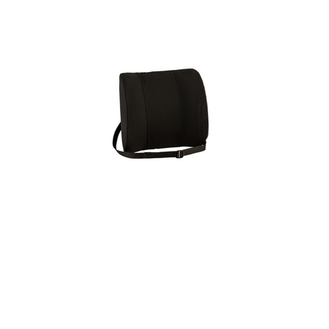 Back Cushion