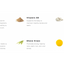Bone Health & More
