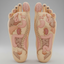 Diagram of foot reflexology on a red background