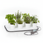Kloud Mini Mat with Herb Plants