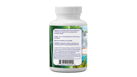 Inflam Santé & Plus™