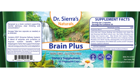 Cerveau Plus
