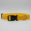 Magnetic Dog Collar Yellow