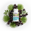 Saw Palmetto bottle with berries and palm fronds